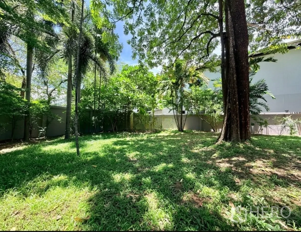 บ้านเดี่ยว for rent in Phra Khanong, Bangkok - สนามหญ้ากว้างมีต้นไม้สูงและกำแพงรอบบ้าน