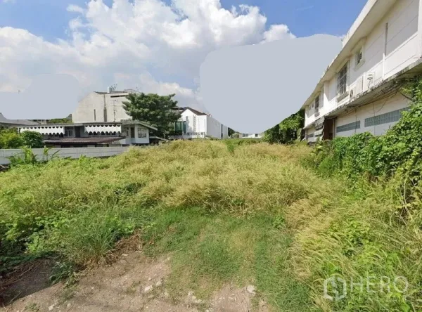 ที่ดิน ขายในPhra Khanong, Bangkok - แปลงที่ดินว่างมีหญ้าขึ้นสูง รายล้อมด้วยอาคารโลว์ไรส์ ใต้ท้องฟ้าโปร่งในกรุงเทพฯ