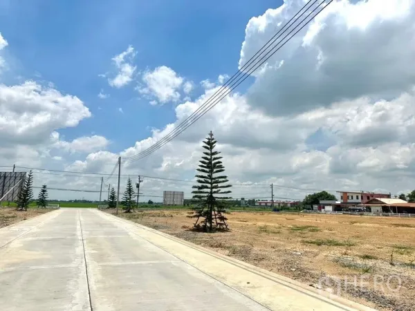 Land for sale in Lam Luk Ka, Pathum Thani - Internal estate road with power lines and young trees next to vacant plots.