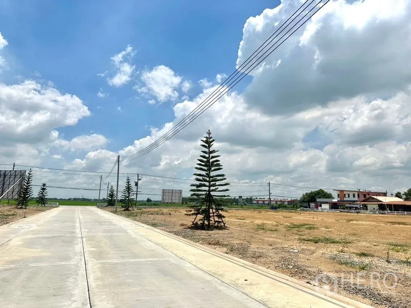 Land for sale in Lam Luk Ka, Pathum Thani - Internal estate road with power lines and young trees next to vacant plots.