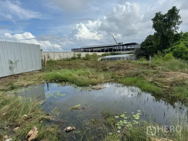 Land for sale in Samut Prakan - Grassy land parcel with a lily-covered pool and construction site beyond the wall in Phra Samut Chedi.