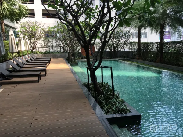 คอนโด ให้เช่าในWatthana, Bangkok - สระว่ายน้ำคอนโดพร้อมดาดไม้เตียงอาบแดด รายล้อมด้วยต้นไม้ทรอปิคัล