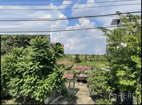 ที่ดิน ขายในSuan Luang, Bangkok - แปลงที่ดินสีเขียวมีประตูรั้วเล็ก สายไฟเหนือศีรษะ ท้องฟ้าโปร่ง