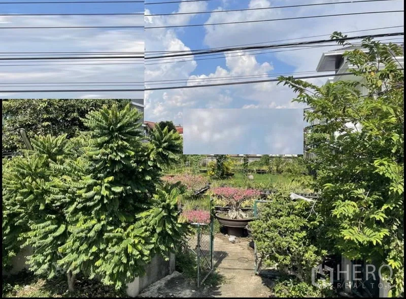 ที่ดิน ขายในSuan Luang, Bangkok - แปลงที่ดินสีเขียวมีประตูรั้วเล็ก สายไฟเหนือศีรษะ ท้องฟ้าโปร่ง