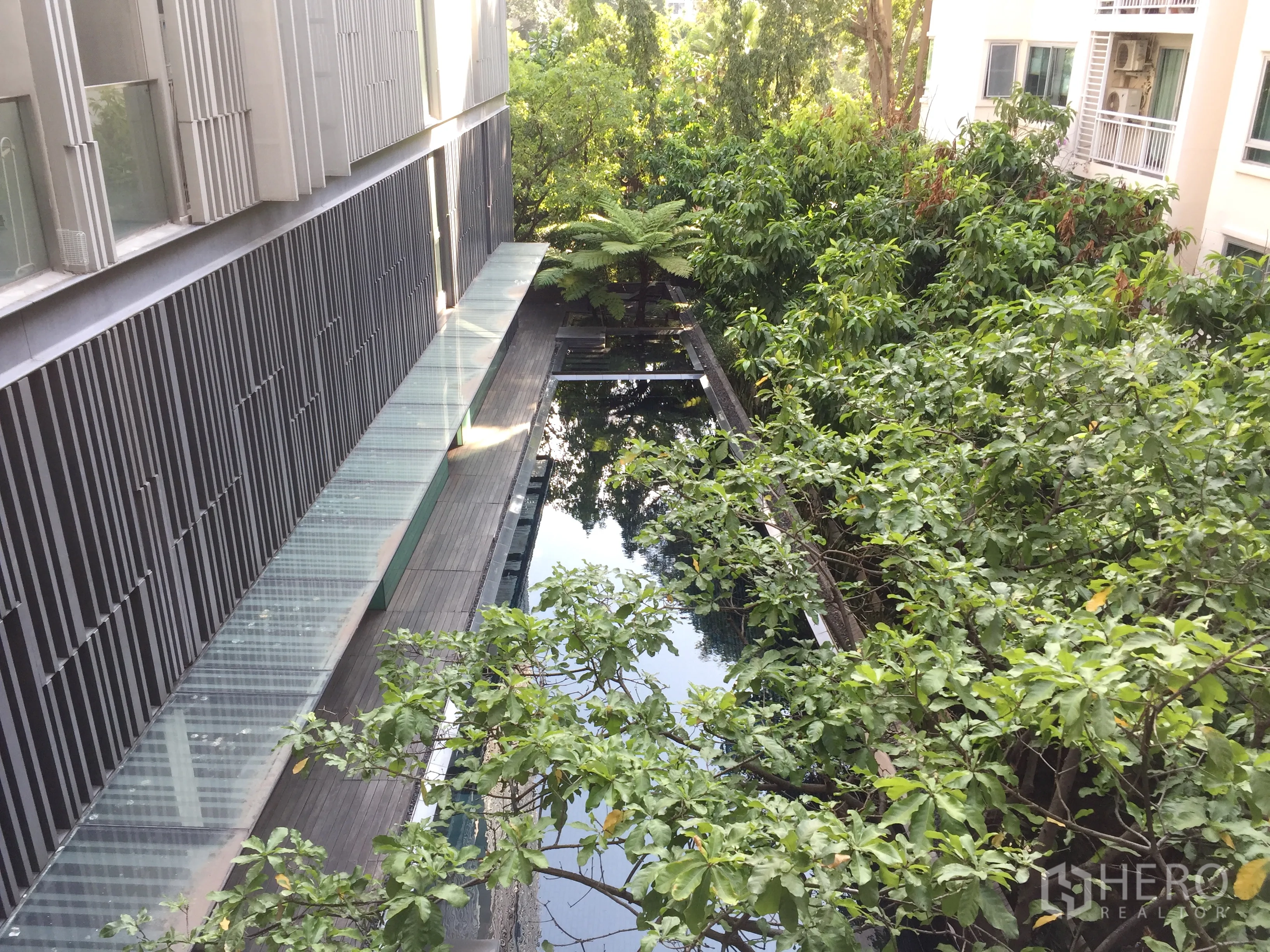 Condominium for rent in Watthana, Bangkok - Condominium lap pool bordered by lush trees and a wooden deck between buildings.