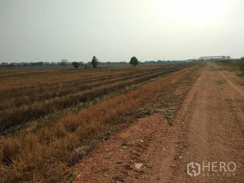 ที่ดิน ขายในLam Luk Ka, Pathum Thani - ที่ดินทรงสี่เหลี่ยมผืนผ้าที่ยาว มีหญ้าแห้งและทางดินในบรรยากาศหมอกจาง