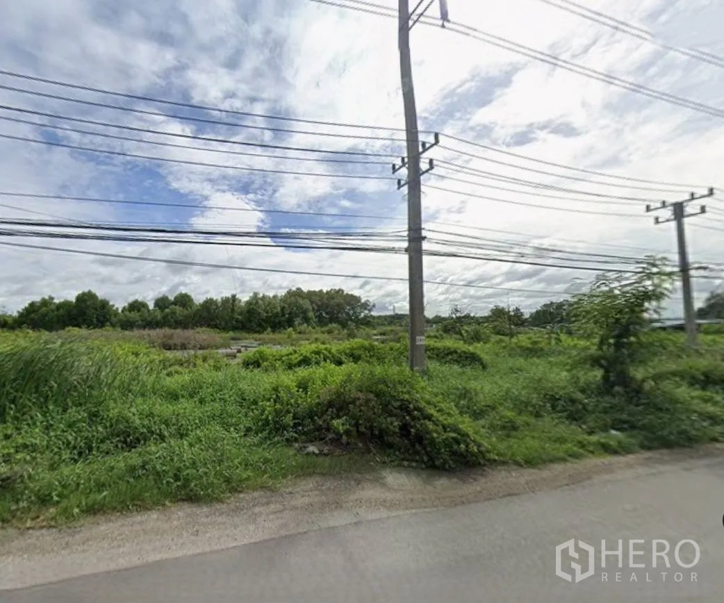 ที่ดิน for sale in Bang Pakong, Chachoengsao - แปลงที่ดินกว้างติดถนนลาดยาง มีไหล่ทาง เสาไฟฟ้า และแนวไม้ยืนต้นด้านหลัง