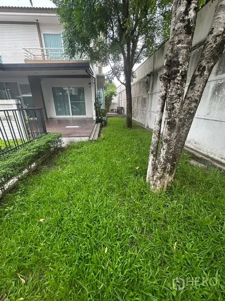 Detached House for sale in Prawet, Bangkok - Side garden with lush lawn, mature tree and access to the patio by sliding doors.