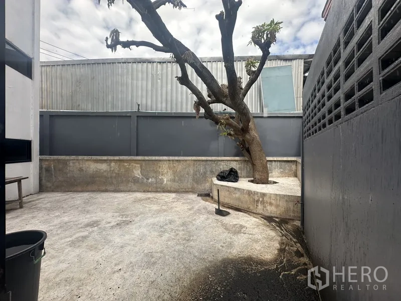 带办公室的家 出租或出售在Bang Na, Bangkok - 高墙庭院另一视角，保留大树。