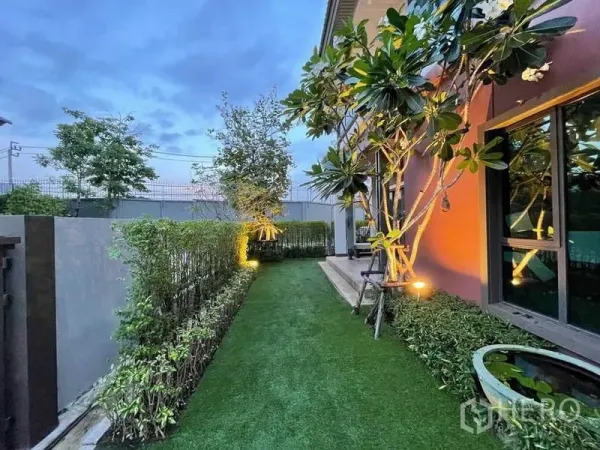 独立式住宅 出售在Pak Kret, Nonthaburi - 侧边庭院，人工草坪、绿篱和缅栀树，傍晚灯光点缀。