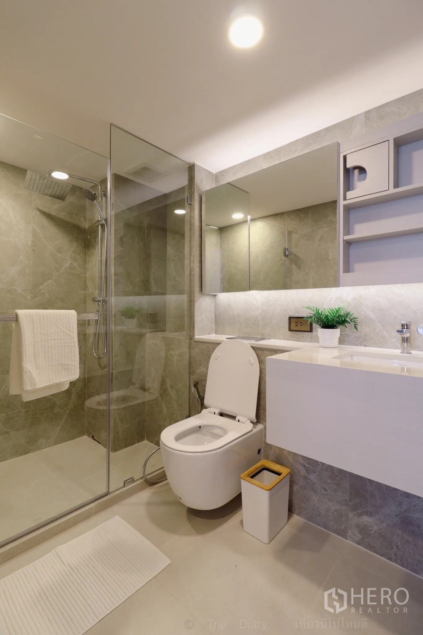 Property Image #6 for property HRE00855