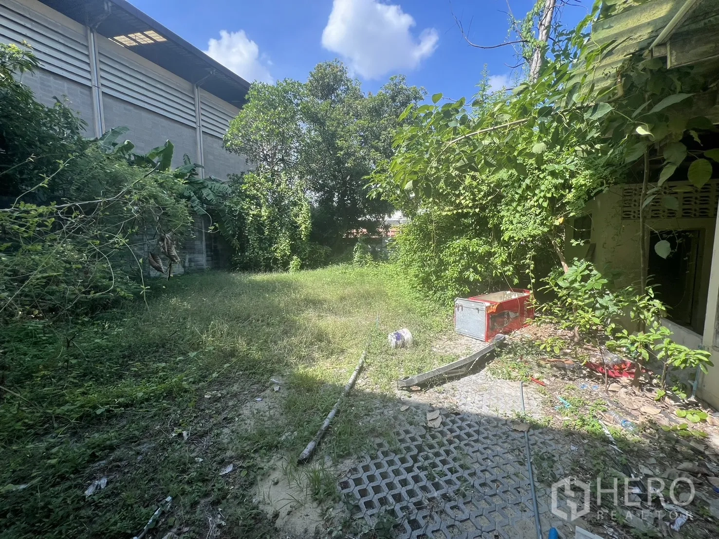 Detached House for rent in Watthana, Bangkok - Exterior of an older house with sliding windows and surrounding greenery.