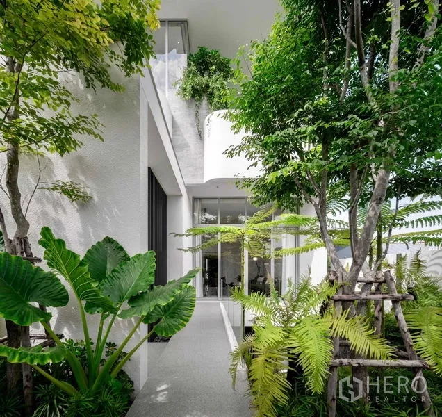 Detached House for sale in Saphan Sung, Bangkok - Green courtyard walkway leading to a glass entry amid tropical plants.