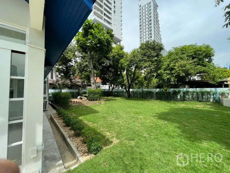 บ้าน ให้เช่าในKhlong Toei, Bangkok - สนามหญ้ากว้างล้อมรอบด้วยต้นไม้ใหญ่ เห็นอาคารสูงด้านหลัง