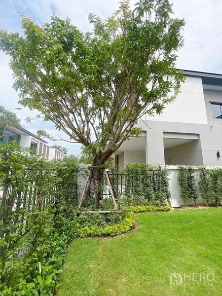 Detached House for sale in Don Mueang, Bangkok - Private lawn with mature tree, trimmed hedges and metal fence.