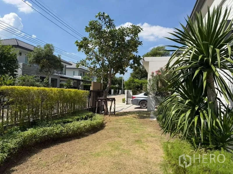 Detached House for rent or sale in Bang Bua Thong, Nonthaburi - Front yard view along hedge-lined path toward the carport and neighborhood street.