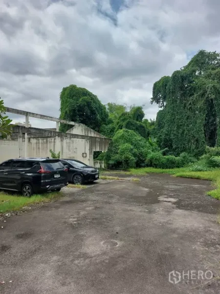 Land for sale in Khlong Toei, Bangkok - Open paved land with parked SUVs, an old warehouse wall and thick vines and trees at the rear.