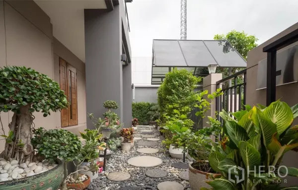 Detached House for rent or sale in Saphan Sung, Bangkok - Side garden with pebble stepping‑stone path lined with decorative potted plants.