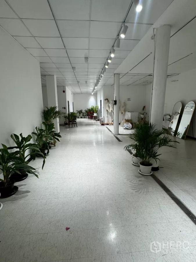 Shophouse for rent in Samphanthawong, Bangkok - Deep retail hall with spotlights, white ceiling and potted plants.