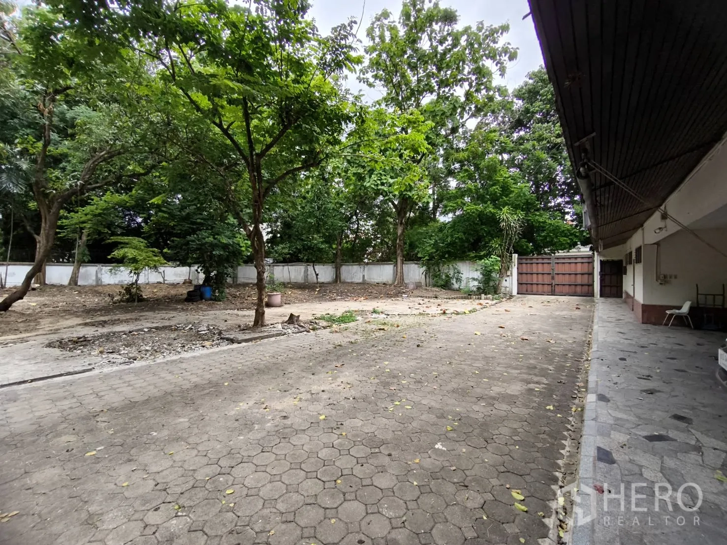 พื้นที่ขายปลีก ให้เช่าในWang Thonglang, Bangkok - ลานภายในรั้วพร้อมทางรถเข้าปูพื้นและต้นไม้ใหญ่ ข้างอาคารค้าปลีก