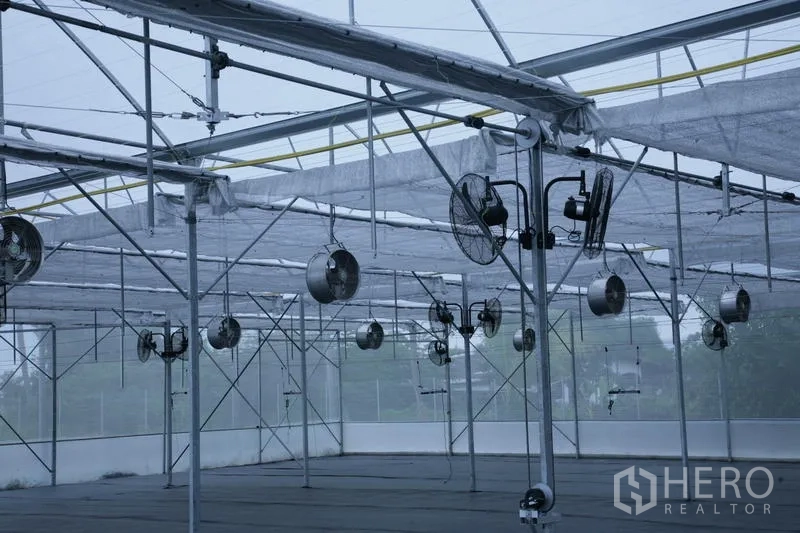 ที่ดิน ให้เช่าในNakhon Pathom - ภายในโรงเรือนที่ยังว่าง แสดงผ้าสแลนบังแสง พัดลมแขวน และโครงเหล็ก