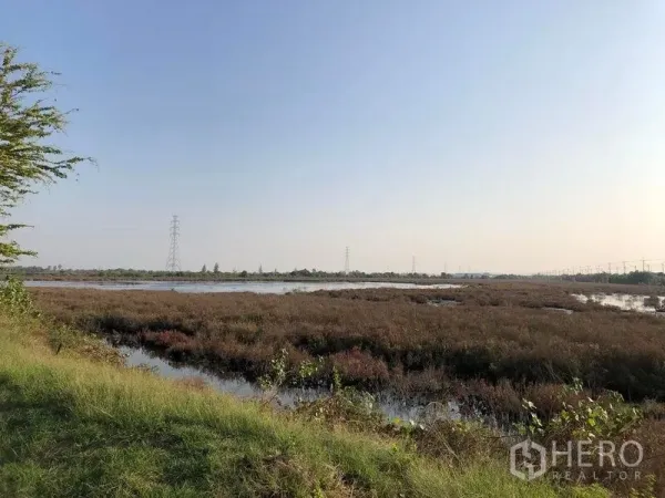 Land for sale in Mueang Samut Sakhon, Samut Sakhon - Grassy verge beside water features and flat scrubland suitable for drainage and development.