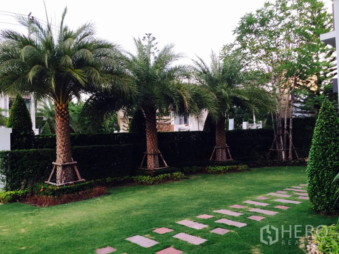 บ้าน ขายในLat Krabang, Bangkok - สวนจัดภูมิทัศน์ มีต้นปาล์ม แนวรั้วพุ่ม และทางเดินแผ่นปู