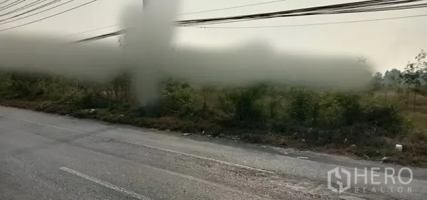 Land for sale in Wang Noi, Phra Nakhon Si Ayutthaya - Long road frontage of level land with vegetation and multiple overhead utility cables in Ayutthaya.