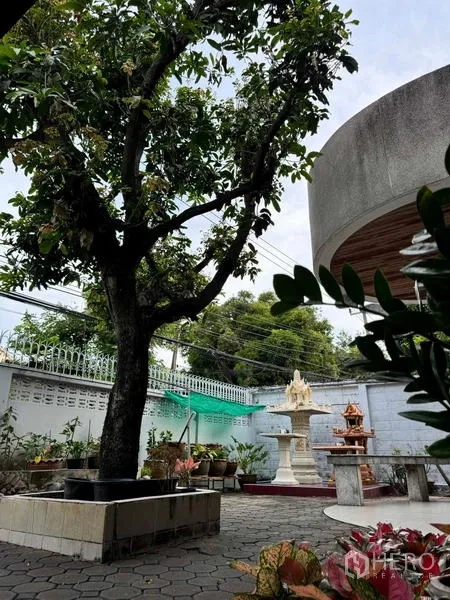 บ้าน ขายในYan Nawa, Bangkok - สวนลานหน้าบ้านมีต้นไม้ใหญ่ ทางเดินปูพื้น และงานตกแต่ง