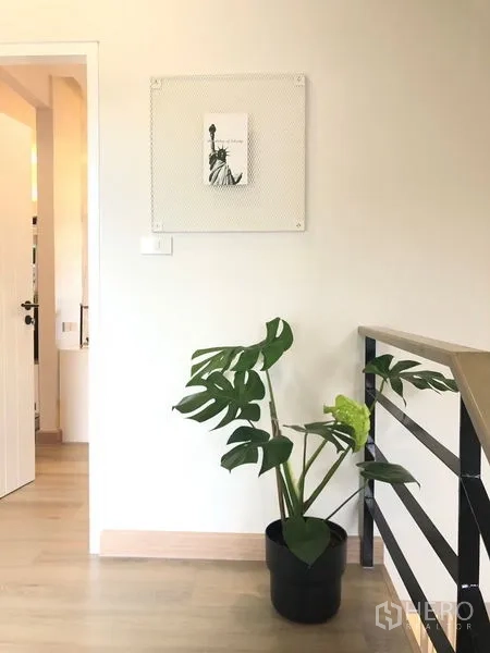 Shophouse for rent in Lat Phrao, Bangkok - Bright landing with light wood flooring, metal handrail and a potted plant beside an open doorway.