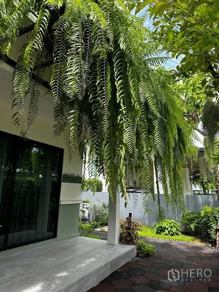 独立式住宅 出租在Prawet, Bangkok - 垂吊蕨类与绿植点缀的侧院露台。