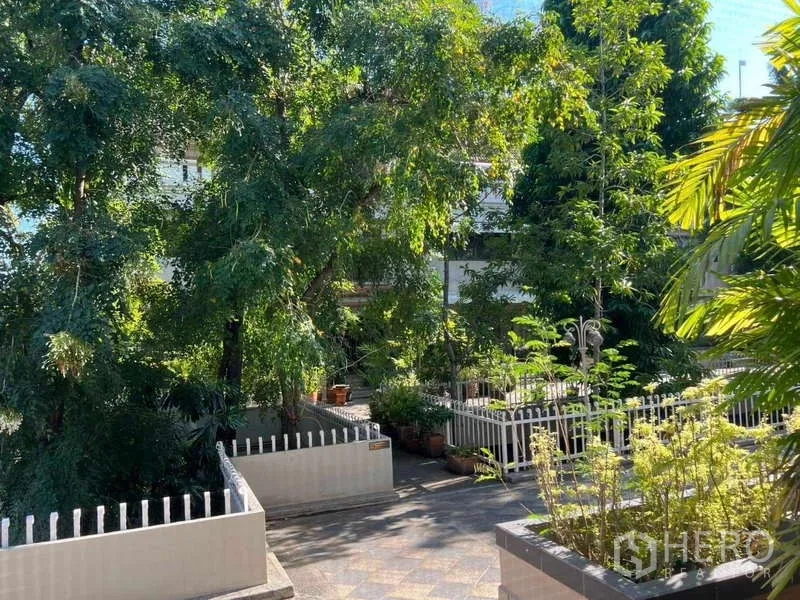 ทาวน์เฮาส์ ให้เช่าในKhlong Toei, Bangkok - ลานสวนส่วนกลางร่มรื่น รั้วสีขาว และกระถางต้นไม้