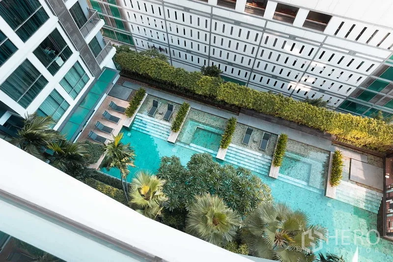 Condominium for rent - Aerial view of the condominium’s landscaped swimming pool with sun loungers and greenery.