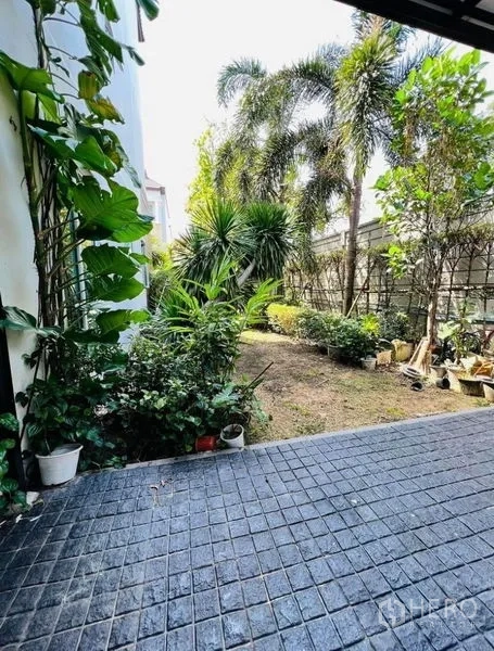 Townhouse for rent or sale in Bueng Kum, Bangkok - Private garden with tropical plants and a paved patio area.