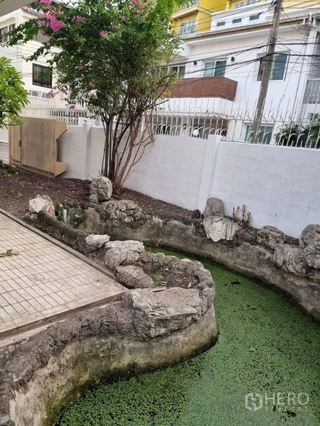 บ้าน ให้เช่าหรือขายในSathon, Bangkok - สระน้ำตกแต่งโค้งตามแนวหินข้างทางเดิน