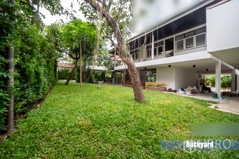 Detached House for rent in Khlong Toei, Bangkok - Grassy backyard with mature trees and hedges beside the elevated house.