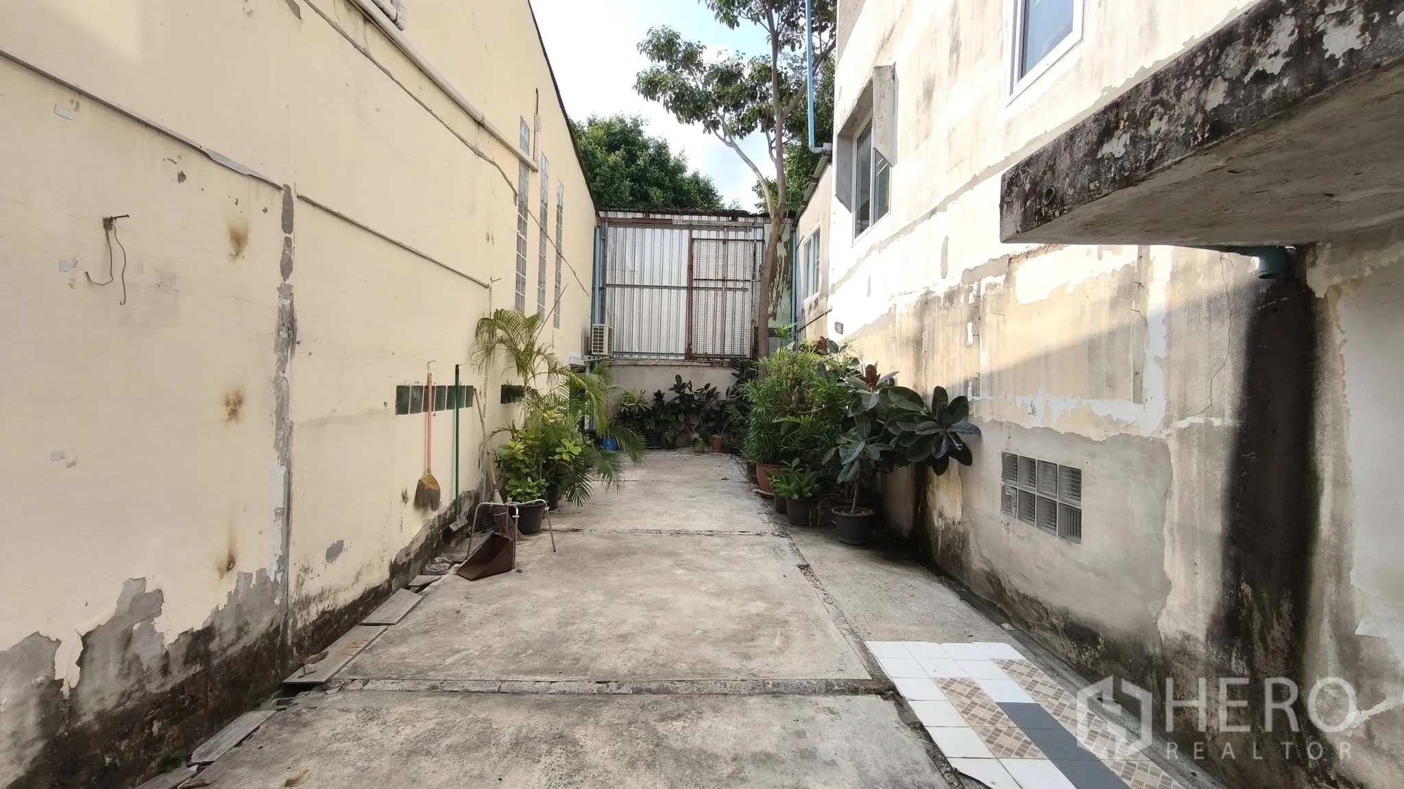 店屋 for rent in Khlong Toei, Bangkok - 后部私密庭院，混凝土地面、金属大门与沿墙盆栽。
