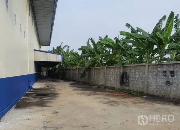工厂 出租在Bang Bua Thong, Nonthaburi - 厂房侧后通道，沿墙种植香蕉树。