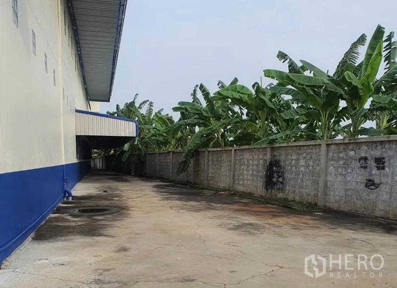 工厂 出租在Bang Bua Thong, Nonthaburi - 厂房侧后通道，沿墙种植香蕉树。