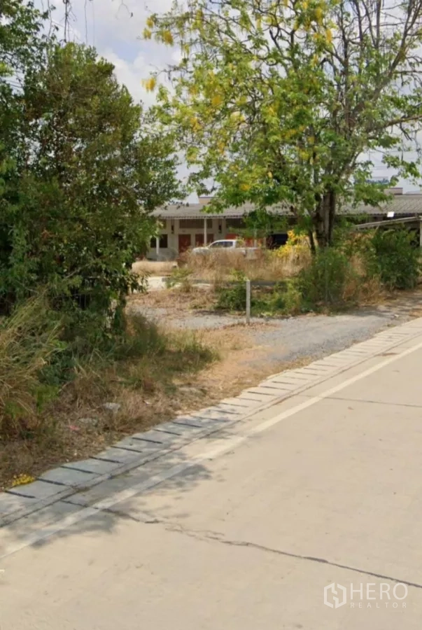 Land for sale in Khlong Toei, Bangkok - Concrete road frontage with mature trees leading to the land entrance.