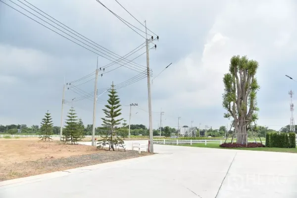 Land for sale in Lam Luk Ka, Pathum Thani - Project corner showing landscaped trees, white fencing, and electrical poles around the plots.