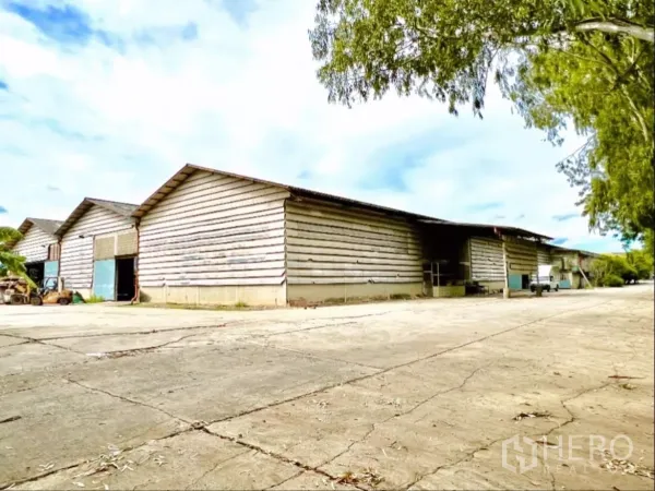 工厂 出租在Sai Noi, Nonthaburi - 工厂外观多连栋建筑，波纹墙体，前方宽阔混凝土场地与树荫。