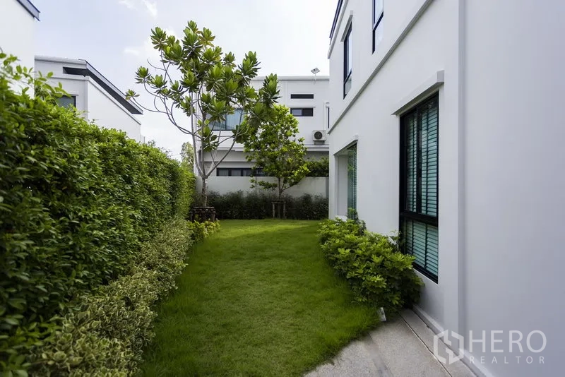 联排别墅 出租在Samut Prakan - 私家庭院草坪，树木与绿篱，紧邻白色外墙。