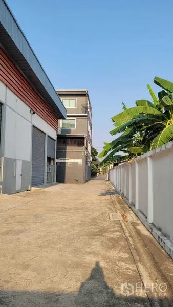 Warehouse for rent in Saphan Sung, Bangkok - Access driveway beside the warehouse with perimeter wall and greenery.