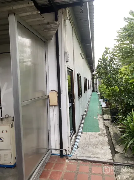 工厂 出租在Prawet, Bangkok - 建筑侧方服务走道，铺设绿色地垫并配有植被