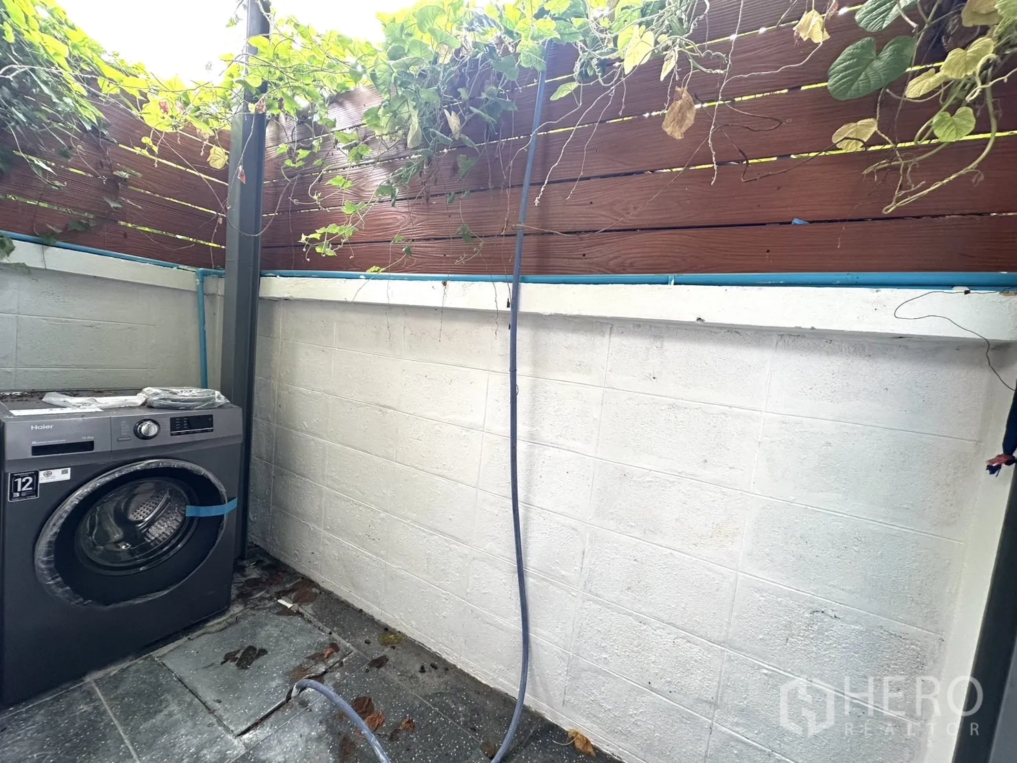 带办公室的家 出租在Phra Khanong, Bangkok - 室外家务角，洗衣机与绿植围篱。