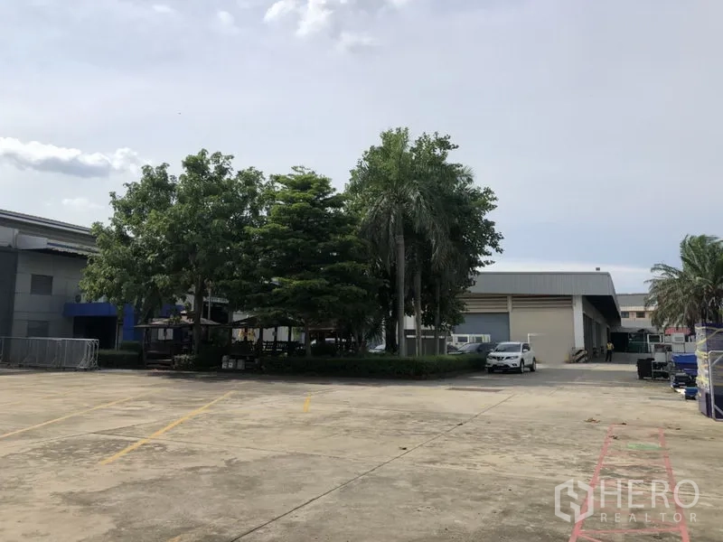 Factory for rent in Lam Luk Ka, Pathum Thani - Expansive concrete yard with marked parking and mature trees inside the industrial compound.