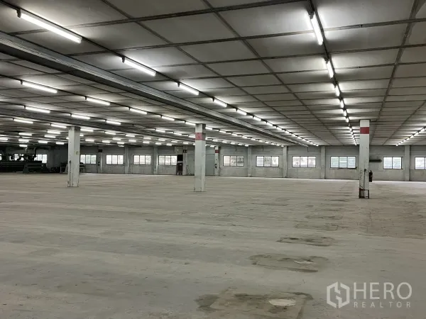 工厂 出租在Phra Samut Chedi, Samut Prakan - 开放式生产区，承重立柱、多扇窗户与平整混凝土地坪。