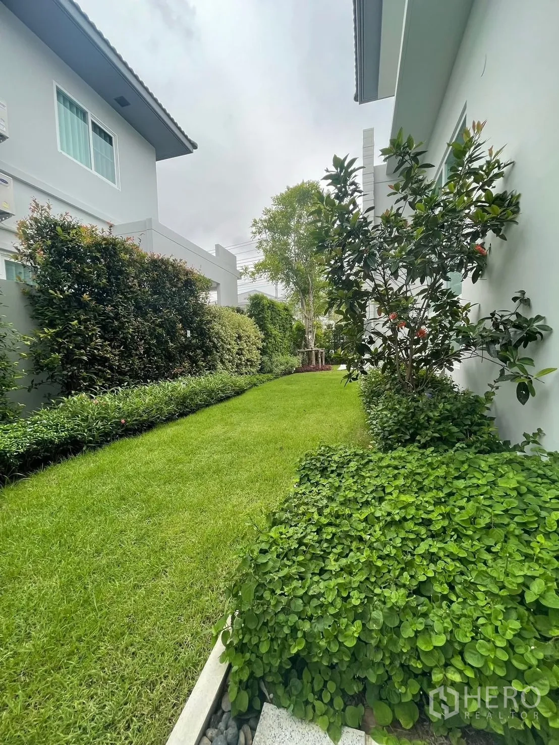 Detached House for rent in Prawet, Bangkok - Another view of the green lawn bordered by shrubs and flowering plants.