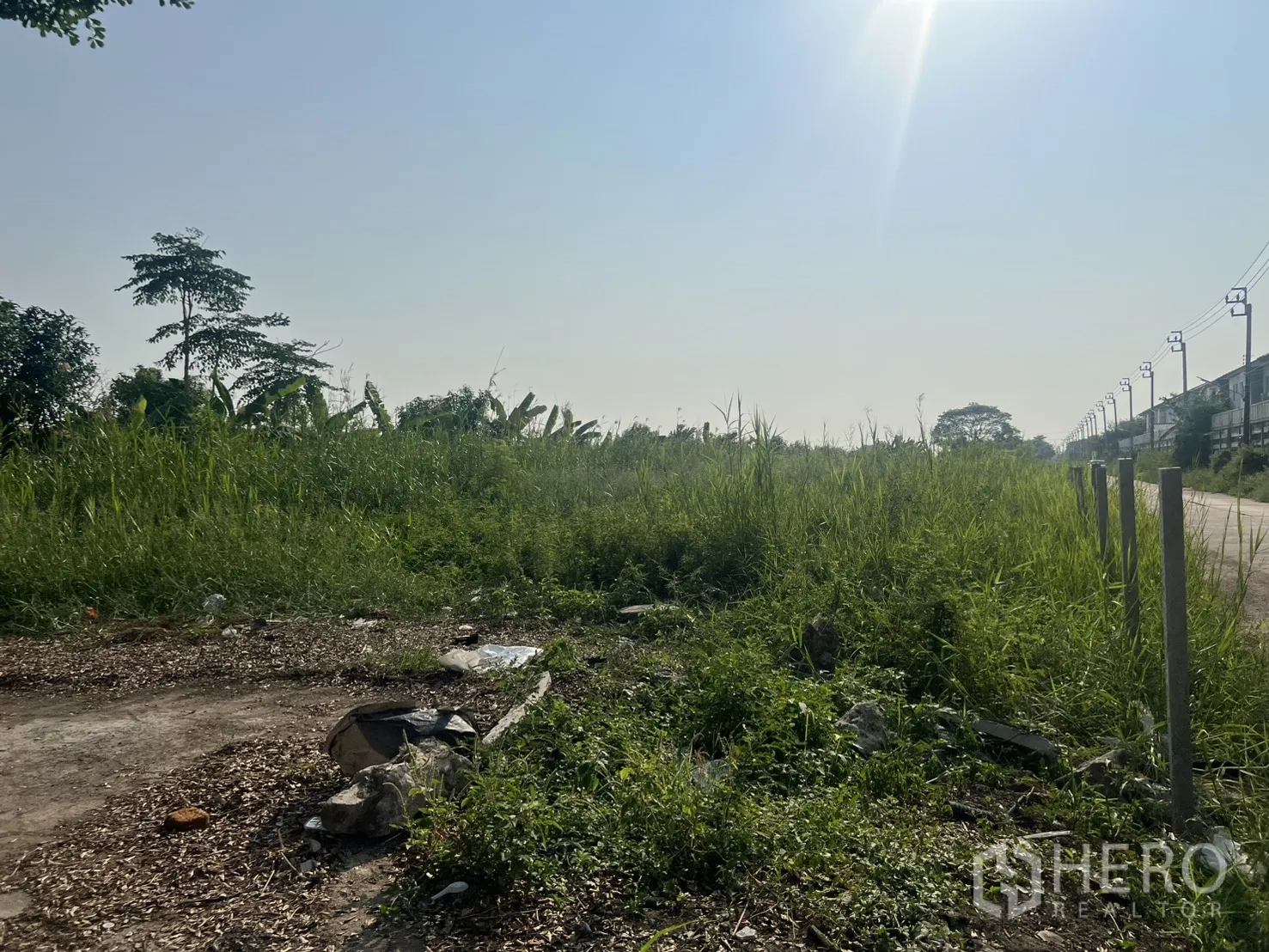 Land for sale in Lat Krabang, Bangkok - Corner of the site with scrub plants near the road and utility poles.